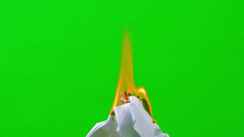 Time lape fire flame burning paper glowing on green screen background Stock Footage 239596486
