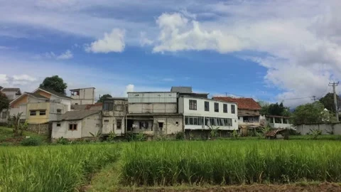 Time Laps beautiful view of rice fields, buildings and blue sky Stock Footage 238441285