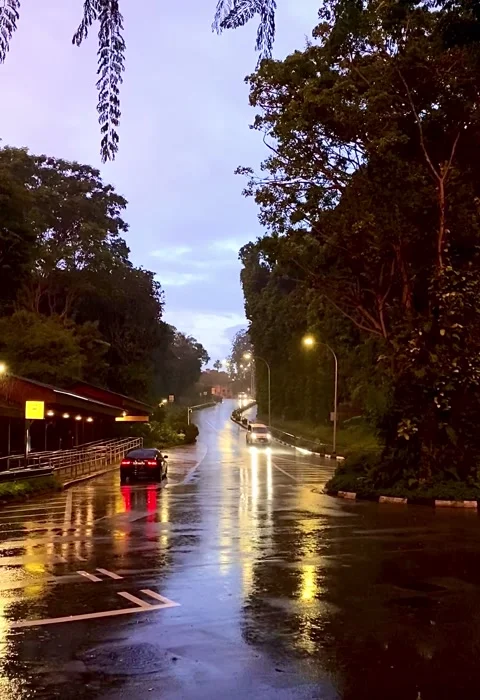 Time Laps Car with Headlights Driving Slowly on Wet Road at Dusk, Vintage Stock Footage 313652825