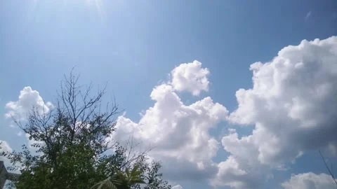 Time laps, a clouds flying, bush in the foreground Stock Footage 131951462