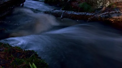 Time laps of flowing water in forest stream Stock Footage 263827924