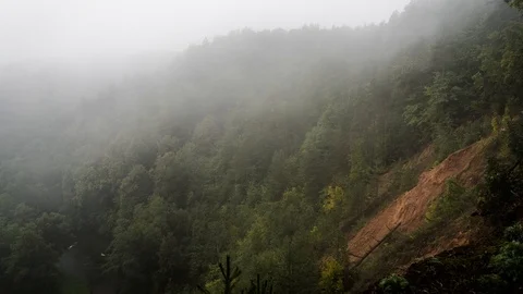 Time laps of fogy forest landscape in Puckoriai exposure, Lithuania Stock Footage 114750971