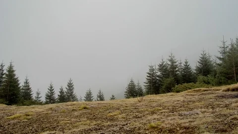 Time laps frozen mountain with trees in autumn Stock Footage 119090852