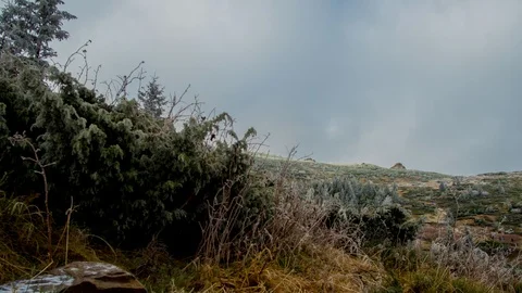 Time laps frozen mountain with trees in autumn Stock Footage 119090883