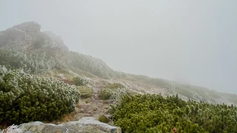 Time laps frozen mountain with trees in autumn Stock Footage 119090908