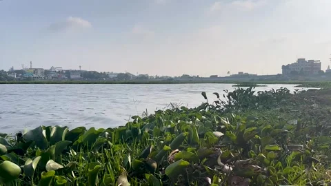 Time laps of a lake with road behind in Bangalore, India HD 库存影片 249009928
