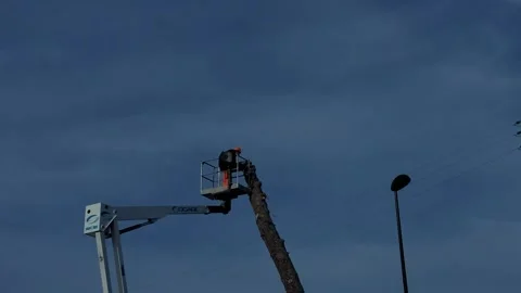 Time laps man at work, Tree pruning, HD Stock Footage 140919328