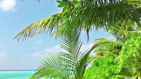 Time-Laps ocean shore on a tropical island Stock Footage 62070072