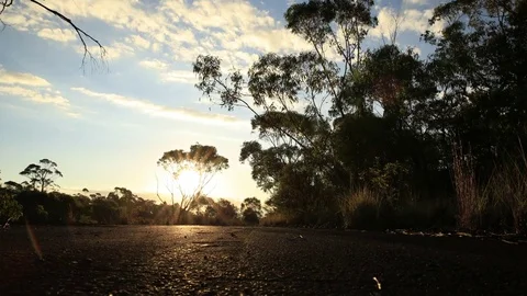 Time laps at old abandoned road with setting sun Stock Footage 81393866