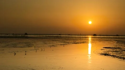 A time laps of orange colorful sunset on beach until twilight time located at Stock Footage 133077473