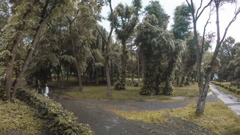 Time laps of rainy storm weather in public park Stock Footage 134437795