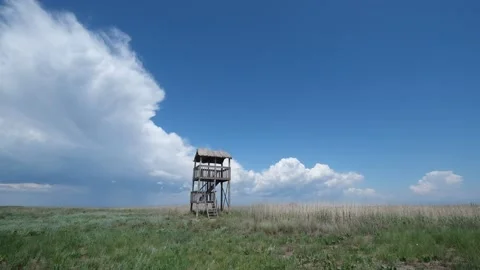 Time laps in summer field Stock Footage 134841861