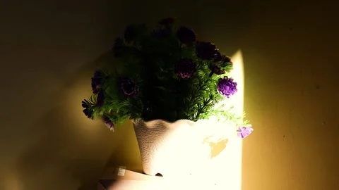 Time laps of sun light passing through the artificial flower vase. Time lapse Stock Footage 170550495