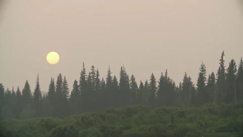 Time Laps. Sunset in the taiga Vídeo Stock 133214242