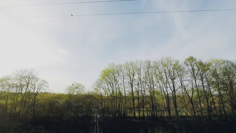 Time laps, view from the train window in early spring in clear weather with Vidéo 102897204