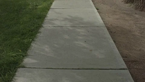 Time-Lapse 2017 Partial Eclipse Tree Leaves Shadow2 Stock Footage 79663305