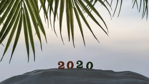 Time lapse 2020 numbers on sand on beach in the palm trees branches at sunset Stock Footage 141840840