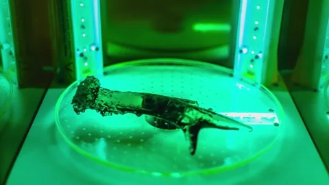 Time lapse of a 3d resin printing of a deer antler in a cure machine Stock Footage 268606393