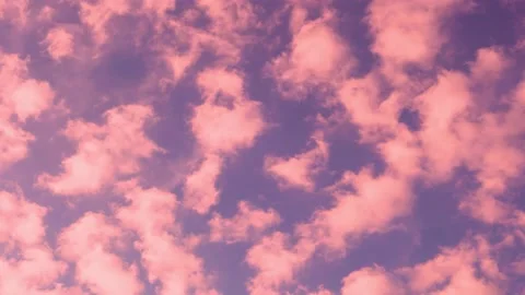 Time Lapse 4k Beautiful lilac Blue Sky Studded with Pink Cumulus Puffy Clouds at Stock-Footage 225637768