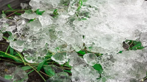 Time Lapse 4K, Close up shot of snow melting on a tiny blade of grass Video stock 63025244