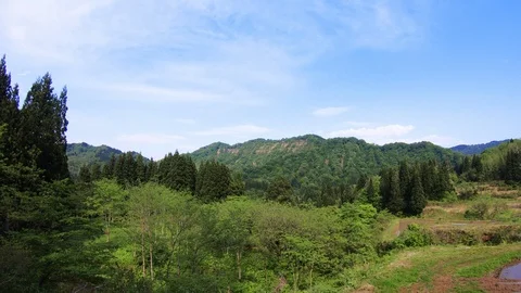 Time lapse 4K at the forest in Joetsu Niigata deep focus Stock Footage 92161693