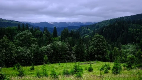 Time lapse 4K video of clouds and fog moving at mountain valley Video stock 92077298