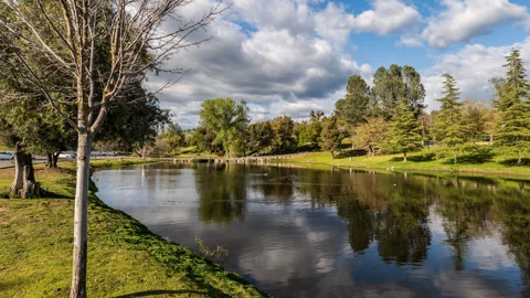 Time Lapse of Activity at City Park and Pond Stock Footage 278662335
