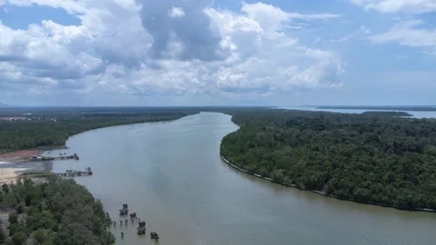 Time lapse aerial view of Bird Island which is full of mangrove forests and.. Stock Footage 274180053