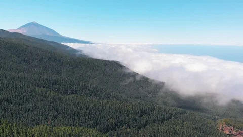 Time lapse, aerial view - Teide volcano, green forest and clouds, like a wave Stock Footage 110896224