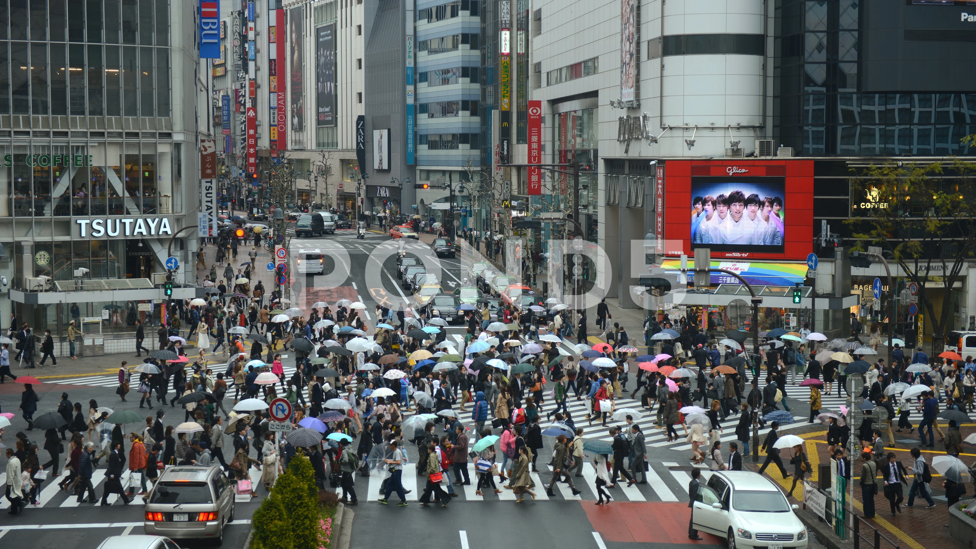 Crossing Roads Tokyo Stock Footage Royalty Free Stock Videos Page 19