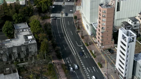 Time-lapse: Aerial view of Tokyo cityscape Tokyo Japan Vídeos de archivo 149965256