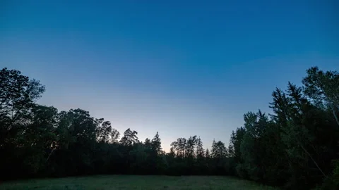 Time lapse with after sunset sky over forest. Stock Footage 244484146