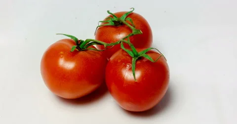 Time lapse of aging and drying tomatoes, on white background Stock Footage 106881351