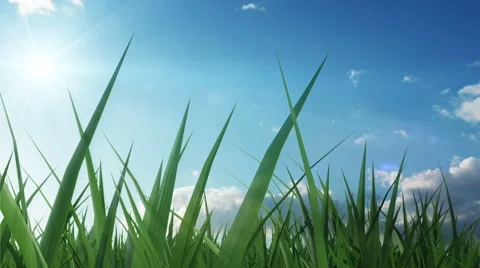 Time Lapse Animation of Green Grass with Flowing Clouds and Sun. Full HD Stock Footage 47944213