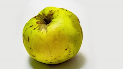 Time lapse of apple rot Stock Footage 150888319
