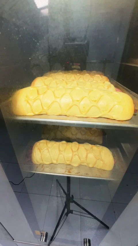 Time-lapse of Artisanal Bread Baking Inside a Commercial Oven Видео 337458882