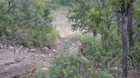 Time Lapse ATV Driving in Mountains. Stock Footage 57264635