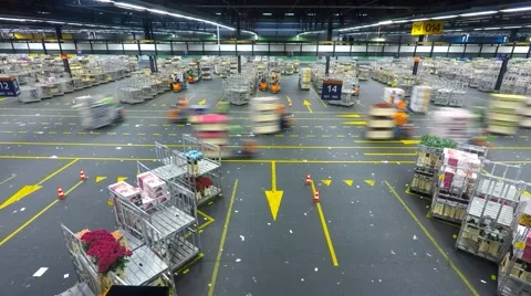 Time Lapse - Auction floor at Aalsmeer's FloraHolland flower auction Stock Footage 54267433