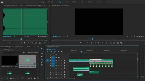 A time lapse of audio editing in adobe premiere pro. Stock Footage