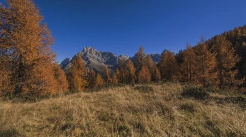 Time-lapse of autumn trees and mountains under blue sky. Stock Footage 68334050