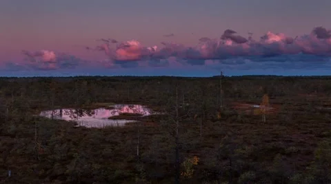 Time lapse awn in the swamp. Stock Footage 68356307