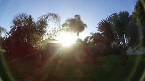 Time Lapse Back Yard Sunset Stock Footage 73362331
