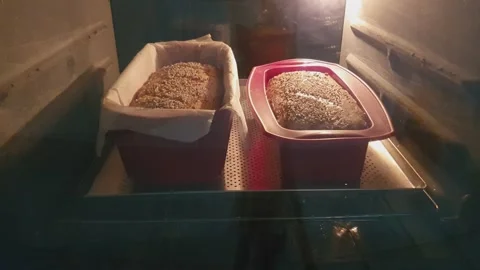 Time lapse baking bread in a home oven Stock Footage 300389249