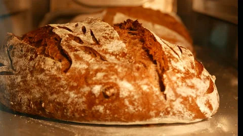 Time-lapse baking in the oven Stock Footage 85540147