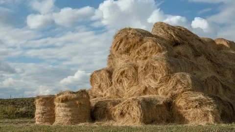 Time lapse of Bales of straw at the beautiful meadow landscape with moving Stock Footage 75333129