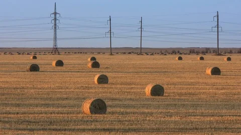 Time lapse of Bales of straw at the beautiful meadow landscape under blue sky Stockbeeldmateriaal 75333525