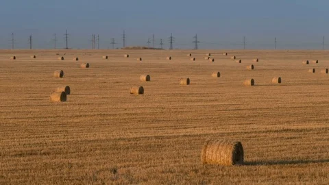 Time lapse of Bales of straw at the beautiful meadow landscape under blue sky Stock Footage 75333628