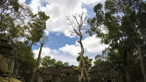 Time Lapse Banyan Tree Temple Cambodia Stock Footage 95450740