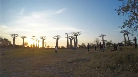 Time lapse of baobabs in morondava madagascar 動画素材 89664425