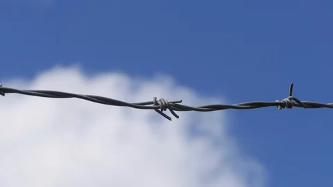 Time Lapse of a barbed wire 스톡 동영상 95393898